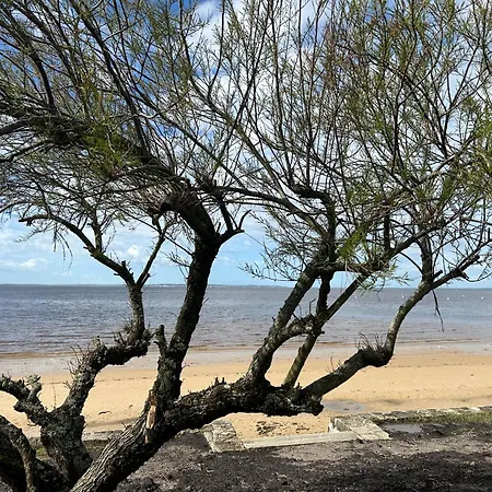 Poupille A La Plage Vila