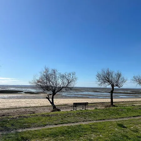 Poupille A La Plage